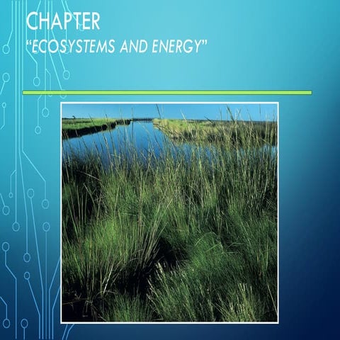 Lecture - Chapter 3 - Ecosystems and Energy.ppt