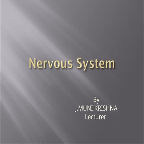Lecture - Chapter 38 - Nervous System.ppt