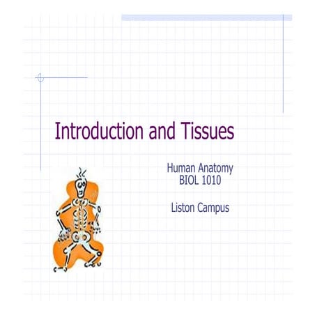 Lecture presentation-11790 [compatibility mode]