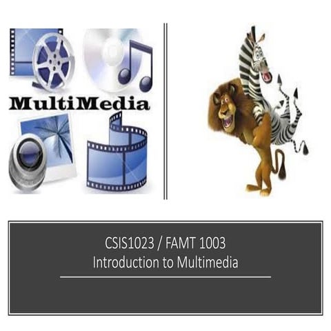 Multimedia Chapter 1 - Introduction to MM