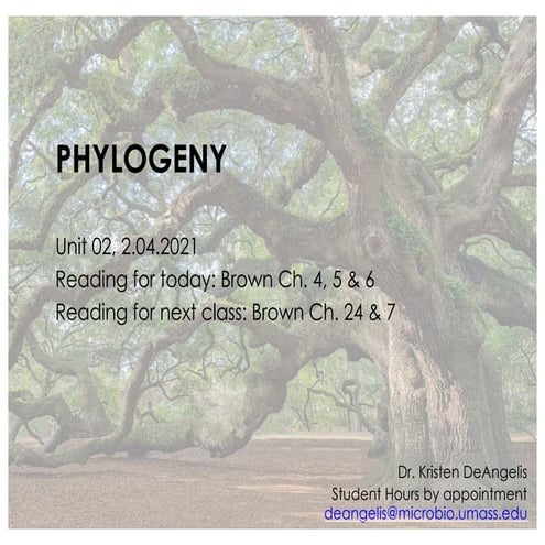 Lecture 02 (2 04-2021) phylogeny