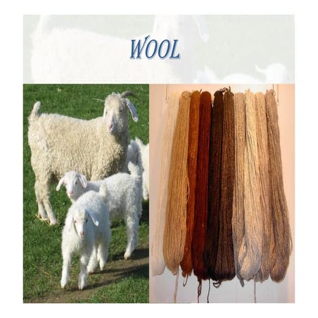 wool fiber