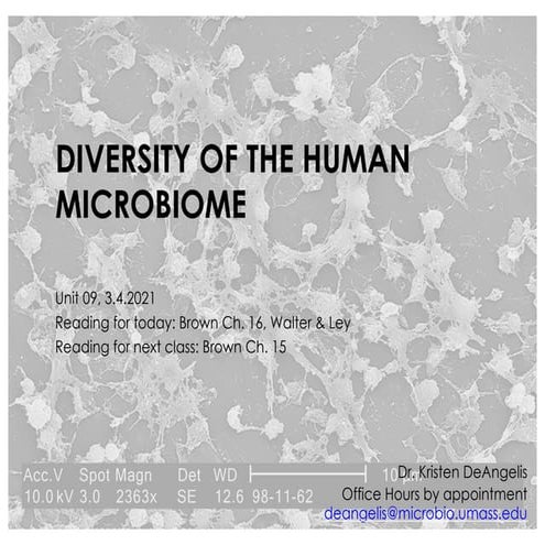 Lecture 09 (3 4-2021) euks