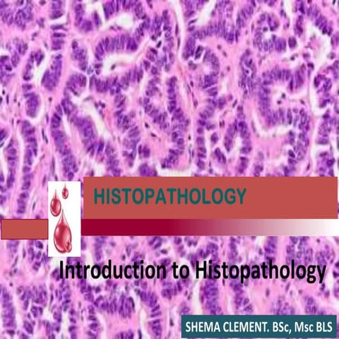 Lecture 1.introduction to histopathology ii