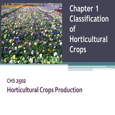 HORTICULTURAL CROPS