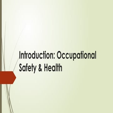 Occupational health and safety (OHS) | PDF