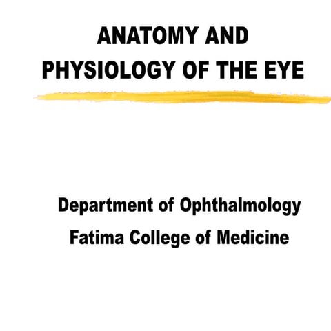 Lecture1   anatomy of the eye