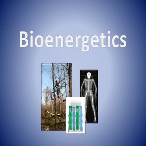 Lecture 1   bioenergetics