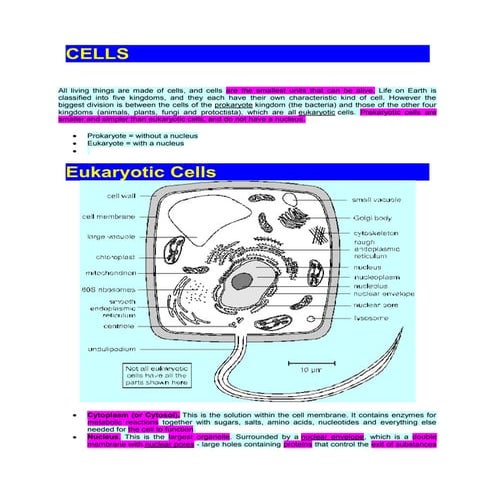 cells structure and transport mechanisms