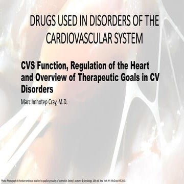 CVS Function, Regulation of the Heart and Overview of Therapeutic Goals in CV Disorders