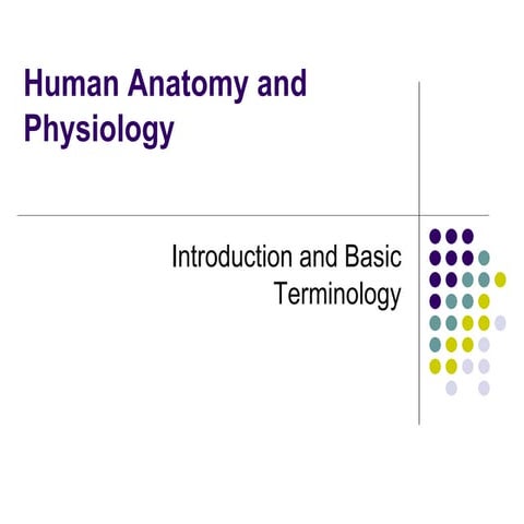 Lecture 1 - Introduction to HAP.pptx