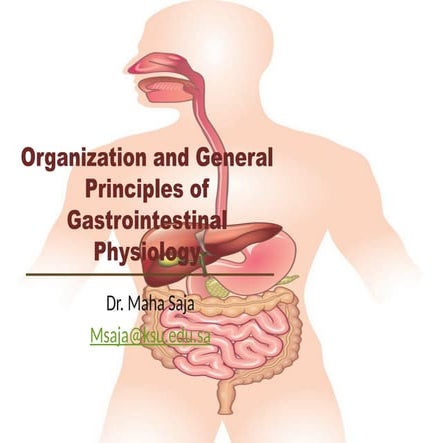 The gastrointestinal tract (GIT) is a long, hollow tube that runs from the mo...