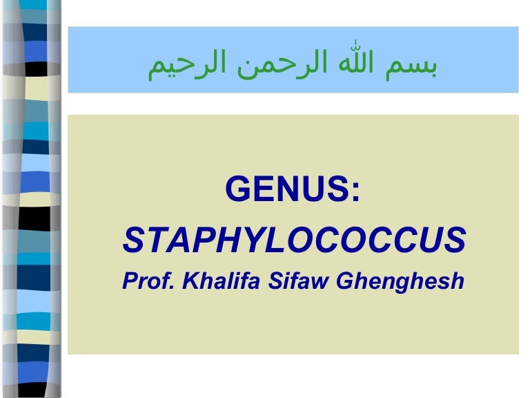 Phd thesis on staphylococcus aureus