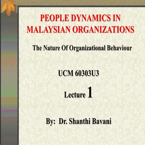 PD Lecture 1 the nature to organizational behaviour