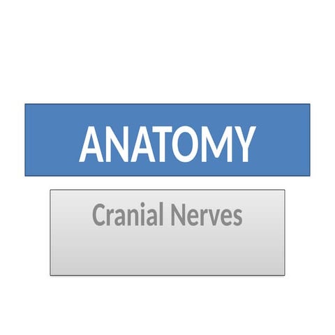 Anatomy of Cranial Nerves Lecture 10.pptx