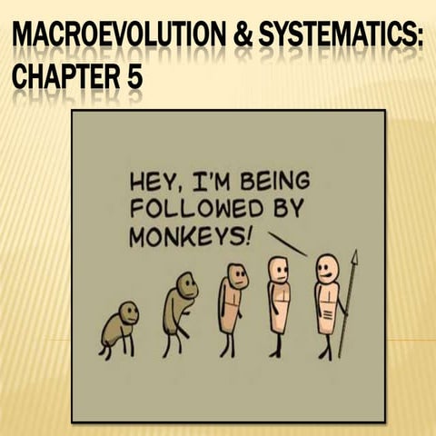 Lecture 10 macroevolution and systematics