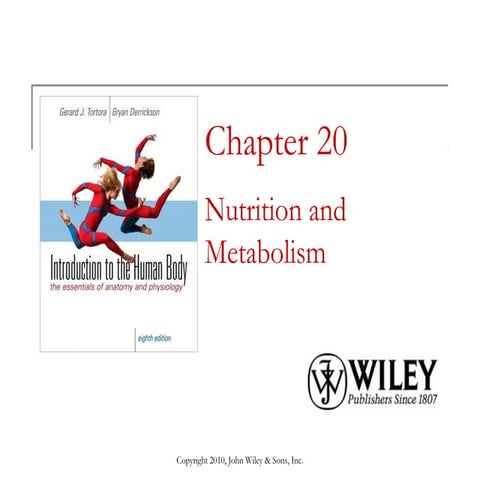 Lecture 10 nutrition and metabolism