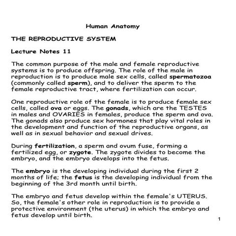 Lecture 11 and 12 reproductive system final | PPT