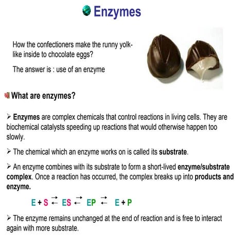 enzymes