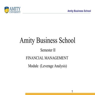 Lecture 11  leverage