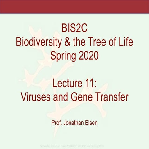 BIS2C_2020. Lecture 11 Viruses and gene transfer