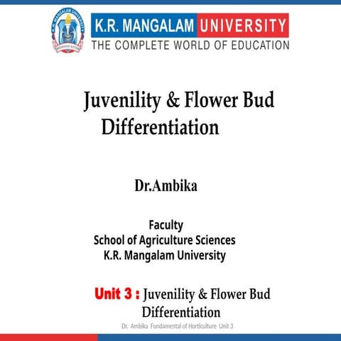 IRRIGATION METHODS AND ITS USES IN HORTICULTURE