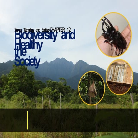 Lecture 12 - Biodiversity and the Healthy Society.pptx