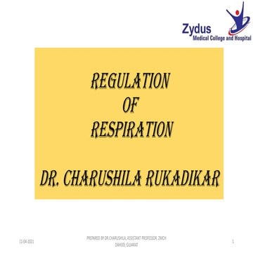 Neural regulation of respiration | PDF