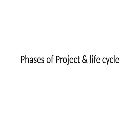 phases_of_project_life_cycle in business