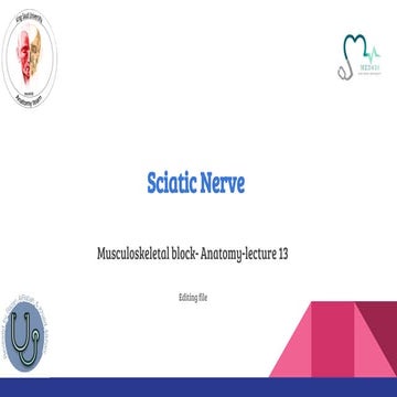 Sciatic Nerve and its clinical correlations.pdf