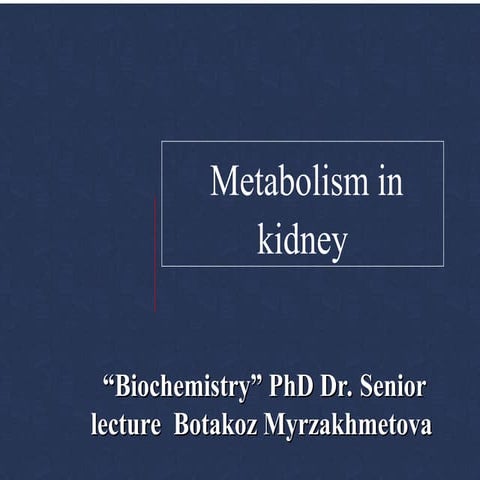 Lecture 14.Metabolism of kidney.ppt of kidney