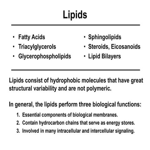 Lecture 15 lipids can be taught