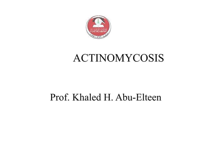 Lecture 16- Medical Mycology- Actinomycetes.ppt