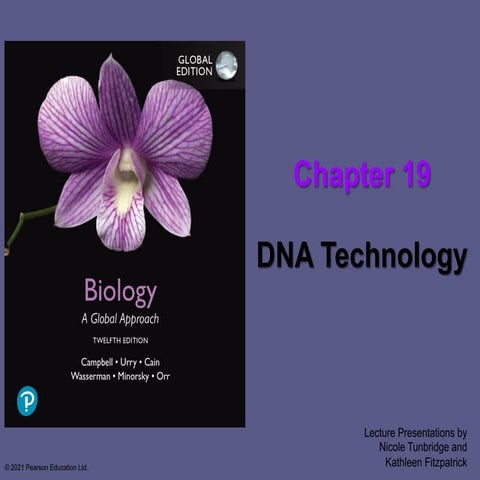 Lecture 18 - DNA technology.pdfzzzzzzzzz