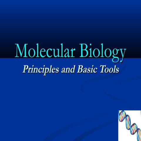 Lecture 1 basic molecular biology