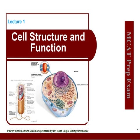Lecture 1 cell