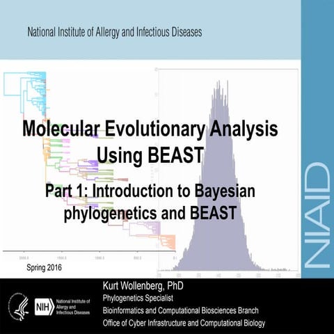 Introduction to Bayesian phylogenetics and BEAST