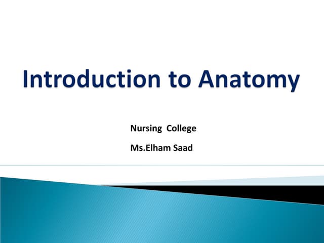 Lecture 1 introduction to anatomy nursing level 1