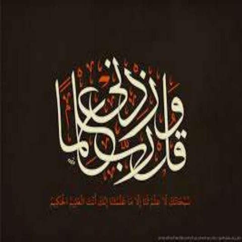 introduction to musclskeletal system anatomy.pptx