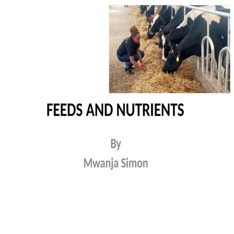 Nutrients required by livestock, feeds and their classification