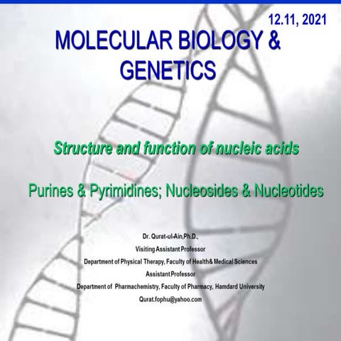 Lecture 1 part.1 Structure and Function of Nucleic Acid