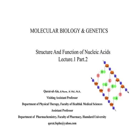 Lecture 1 part.2 Structure and Function of Nucleic Acid