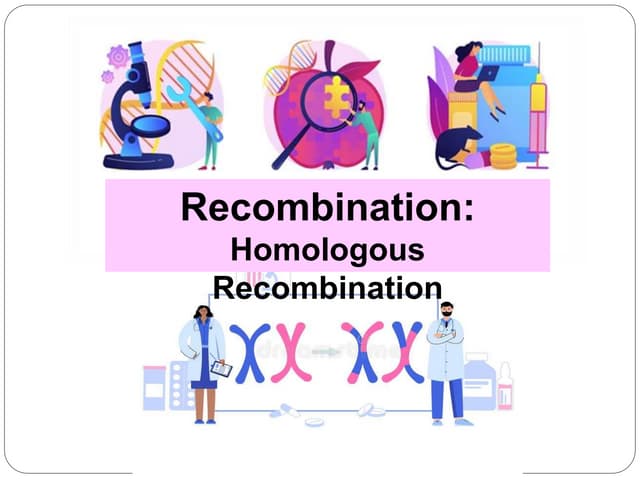 Lecture 1 Recombination_ Homologous Recombination (Final).pptx Biology Diagrams