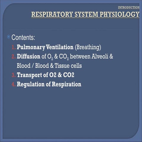 functional anatomy of respiratory system