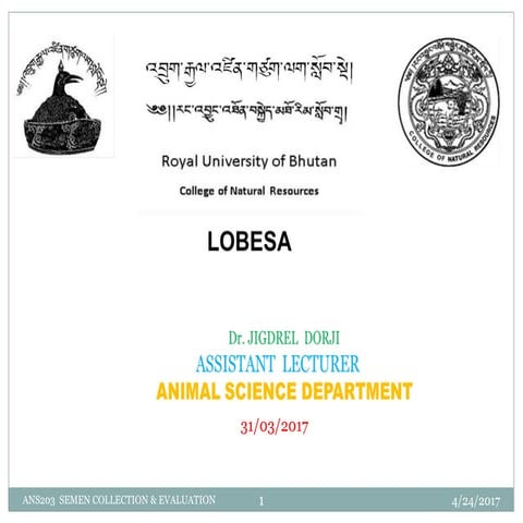 Lecture 2. semem collection lecture 2 &amp; 3