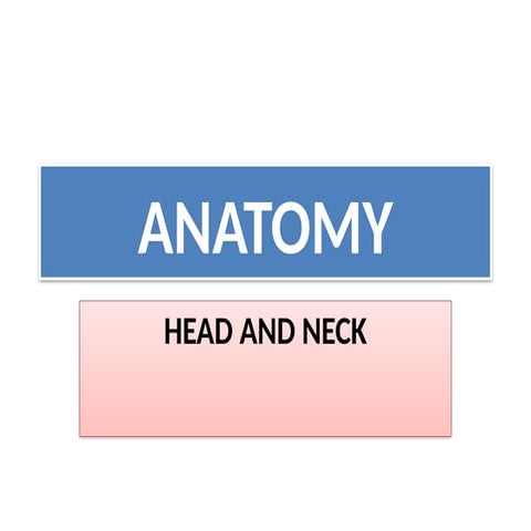 The anatomy of the head and neck region ppt