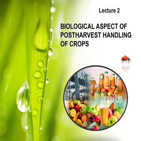 Lecture 2: Biological Aspect of Postharvest Handling of Crops