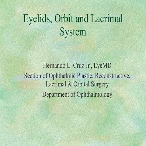 Lecture2   eyelid,orbit,lacrimal