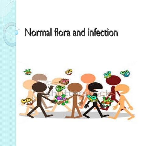 lecture 2-flora and infection.ppt mmmmmmmmmmmmmmm | PPT