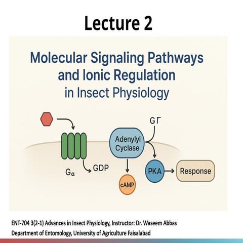 Advances in Insect Physiology: Molecular Signaling and Regulation ...